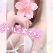 ヒメ日記 2025/04/28 13:27 投稿 ゆかり ダンシングおっぱいTEAM爆