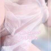 ヒメ日記 2026/01/17 16:07 投稿 ゆかり ダンシングおっぱいTEAM爆