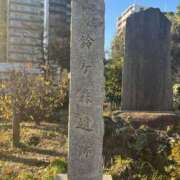 ヒメ日記 2025/02/07 10:37 投稿 白井　なぎさ 東京ローズマリー