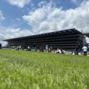 ヒメ日記 2025/07/21 15:57 投稿 白井　なぎさ 東京ローズマリー