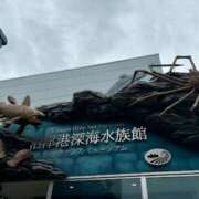 白井　なぎさ 神無月 東京ローズマリー