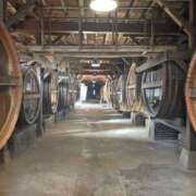 白井　なぎさ 生まれ故郷へ 東京ローズマリー