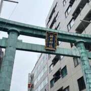 ヒメ日記 2026/03/15 07:37 投稿 白井　なぎさ 東京ローズマリー