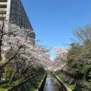 白井　なぎさ 快晴！ 東京ローズマリー