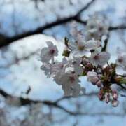 白井　なぎさ 名古屋旅行 東京ローズマリー