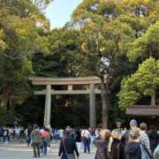 ヒメ日記 2026/04/08 19:17 投稿 白井　なぎさ 東京ローズマリー