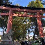 ヒメ日記 2026/04/14 12:37 投稿 白井　なぎさ 東京ローズマリー