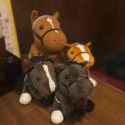 ヒメ日記 2026/04/15 20:47 投稿 白井　なぎさ 東京ローズマリー