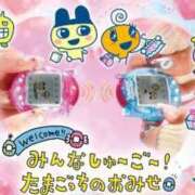 ヒメ日記 2025/02/16 12:20 投稿 アクア 池袋マリン別館