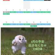 ヒメ日記 2025/02/27 06:40 投稿 アクア 池袋マリン別館