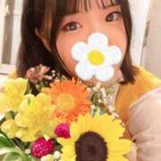 ヒメ日記 2025/06/17 13:20 投稿 アクア 池袋マリン別館