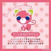 ヒメ日記 2025/12/31 00:18 投稿 アクア 池袋マリン別館