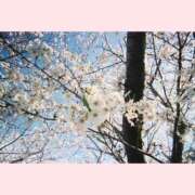 ヒメ日記 2025/02/25 22:49 投稿 みい ハニープラザ（ユメオト）