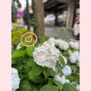 ヒメ日記 2025/06/11 23:55 投稿 みい ハニープラザ（ユメオト）