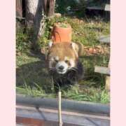 ヒメ日記 2025/12/16 13:02 投稿 みい ハニープラザ（ユメオト）