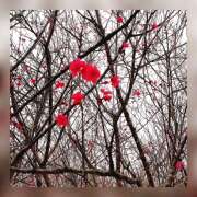 ヒメ日記 2025/03/08 17:48 投稿 冬月あや 宇都宮回春性感クリニック