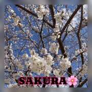 ヒメ日記 2025/04/04 18:09 投稿 冬月あや 宇都宮回春性感クリニック