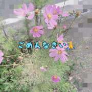 ヒメ日記 2025/11/12 14:46 投稿 冬月あや 宇都宮回春性感クリニック