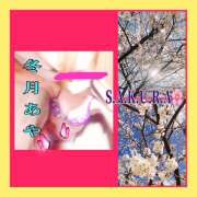 ヒメ日記 2026/04/06 21:53 投稿 冬月あや 宇都宮回春性感クリニック