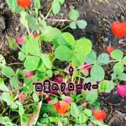 ヒメ日記 2026/09/08 20:08 投稿 冬月あや 宇都宮回春性感クリニック