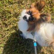 ヒメ日記 2025/06/18 23:54 投稿 ゆら Second Love（セカンドラブ）