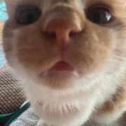 ヒメ日記 2025/06/21 18:52 投稿 ゆら Second Love（セカンドラブ）