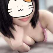 ヒメ日記 2025/05/27 16:57 投稿 ふゆ Blue Moon