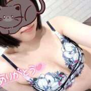 ヒメ日記 2025/06/27 12:18 投稿 ふゆ Blue Moon