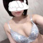 ヒメ日記 2025/11/20 07:48 投稿 ふゆ Blue Moon