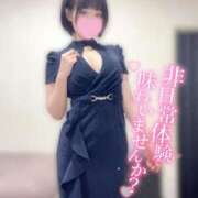 ヒメ日記 2026/02/01 10:59 投稿 ふゆ Blue Moon