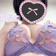 ヒメ日記 2026/02/05 06:49 投稿 ふゆ Blue Moon