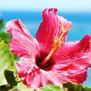 ヒメ日記 2025/04/03 17:14 投稿 北条なぎさ Mrs. Dandy Haneda