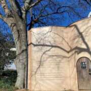 ヒメ日記 2025/06/26 11:30 投稿 さら しろうとCollection