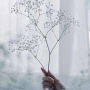 ヒメ日記 2025/07/30 11:47 投稿 さら しろうとCollection