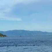 ヒメ日記 2025/08/11 13:26 投稿 さら しろうとCollection