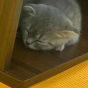 ヒメ日記 2025/09/17 23:57 投稿 さら しろうとCollection