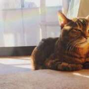 ヒメ日記 2025/10/16 12:01 投稿 さら しろうとCollection