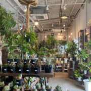 ヒメ日記 2025/11/05 13:20 投稿 さら しろうとCollection