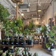 ヒメ日記 2025/11/05 13:37 投稿 さら しろうとCollection