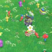 ヒメ日記 2025/11/14 12:17 投稿 さら しろうとCollection