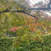 ヒメ日記 2025/11/16 11:15 投稿 さら しろうとCollection