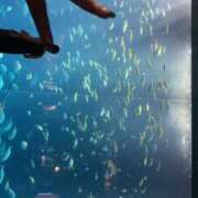 ヒメ日記 2025/12/02 11:45 投稿 さら しろうとCollection