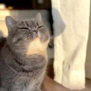 ヒメ日記 2025/12/09 11:57 投稿 さら しろうとCollection