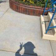 ヒメ日記 2026/02/02 13:54 投稿 さら しろうとCollection