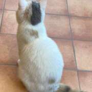 ヒメ日記 2026/03/02 12:16 投稿 さら しろうとCollection