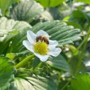 ヒメ日記 2026/03/11 11:00 投稿 さら しろうとCollection