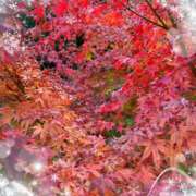 氷室はるな １０時から出勤😆 人妻家久喜