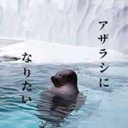 ヒメ日記 2025/01/27 13:33 投稿 みのり TOKYO BUNNYS CLUB