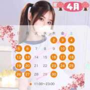 みのり 🌿🌸みのり4月のスケジュール🌸🌿 TOKYO BUNNYS CLUB