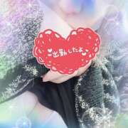 ヒメ日記 2024/12/30 09:40 投稿 らん 進撃の妻